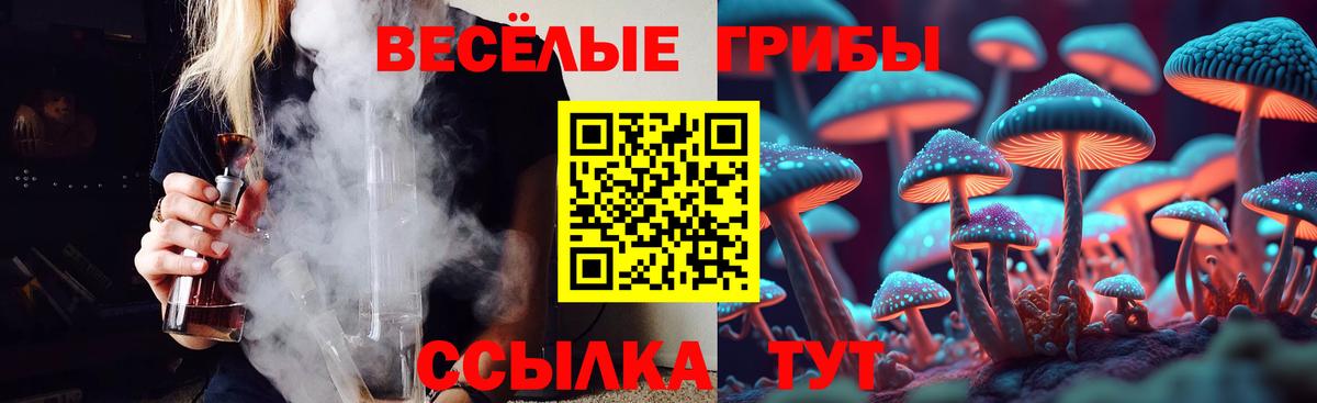 Псилоцибиновые грибы ЛСД Новоалтайск